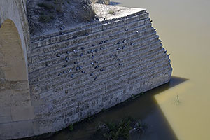 Córdoba: Puente Romano, 17.4.2023 Córdoba