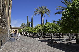Córdoba: Patio de los Naranjos, Mezquita-Catedral, 17.4.2023 Córdoba