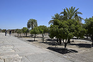 Córdoba: Medina Azahara, 18.4.2023 Córdoba