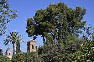 Granada: Alhambra, 20.4.2023 Granada