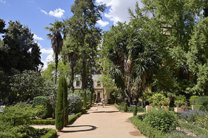 Granada: Jardín Botánico de la Universidad de Granada, 20.4.2023 Granada