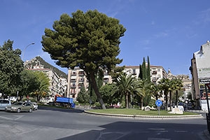 Jaén: Parque Rafael Ortega Sagrista, 19.4.2023 Jaén