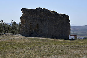 Osuna
