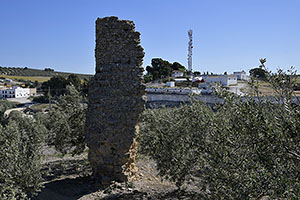 Osuna