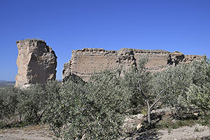 Osuna