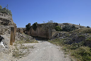 Osuna