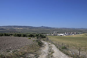 Osuna