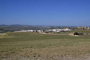 Osuna