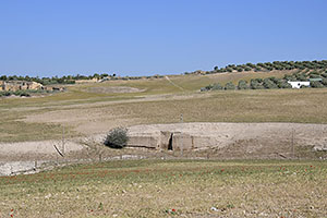 Osuna