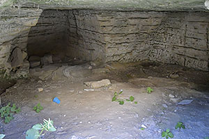 Osuna