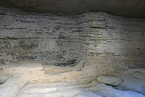 Osuna