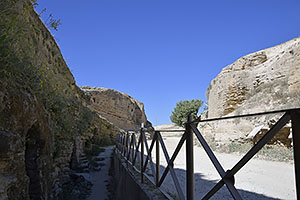 Osuna