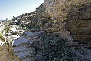 Osuna