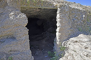 Osuna