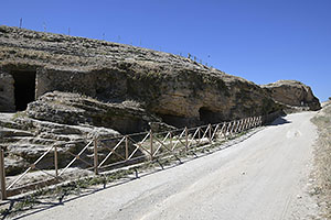 Osuna