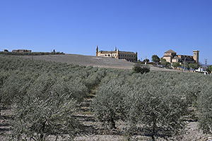 Osuna