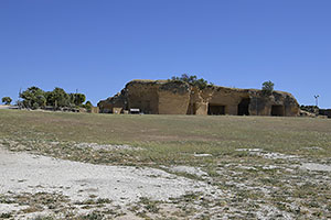 Osuna