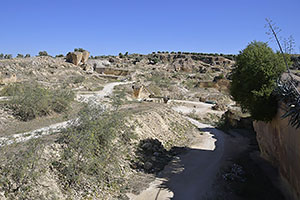 Osuna