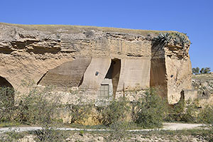 Osuna