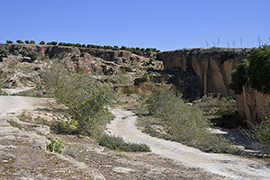Osuna