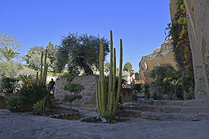 Osuna