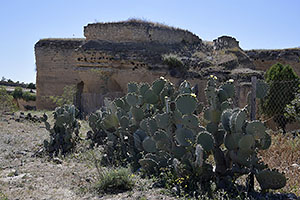 Osuna