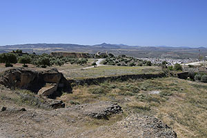 Osuna