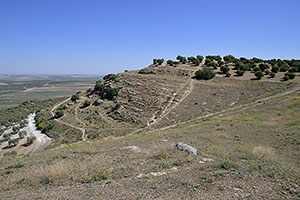 Osuna