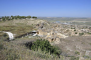 Osuna
