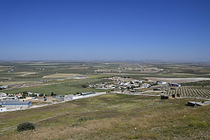 Osuna