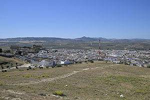 Osuna