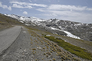 Sierra Nevada