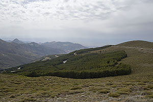 Sierra Nevada