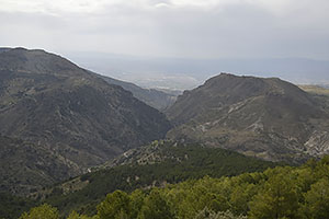 Sierra Nevada