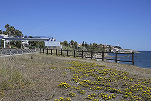 Mijas