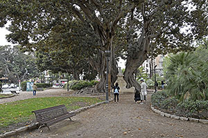 Valencia