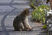 Gibraltar