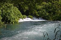 Krka