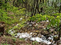 Plitvice