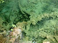Plitvice