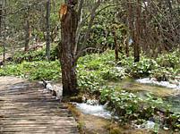 Plitvice