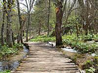 Plitvice