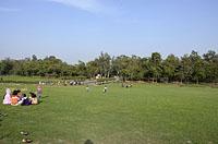 Dilli: Mahatma Gandhi Park, 22.2.2015 Dilli