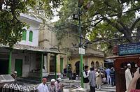 Dilli: Nizamuddin Dargah a Jamaat Khana, 23.2.2015 Dilli