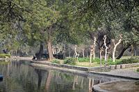 Dilli: Lodi garden, 23.2.2015 Dilli