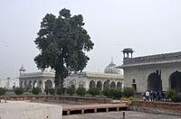 Dilli: Khas Mahal, Red fort, 24.2.2015 Dilli