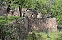 Dilli: archeologický park Mehrauli, 12.3.2015 Dilli