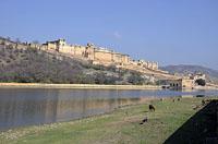 Jaipur: Amer (Amber) Palace, 3.3.2015 Jaipur
