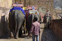 Jaipur: Amer (Amber) Palace, 3.3.2015 Jaipur