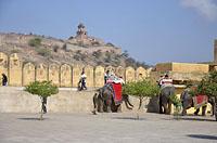 Jaipur: Amer (Amber) Palace, 3.3.2015 Jaipur